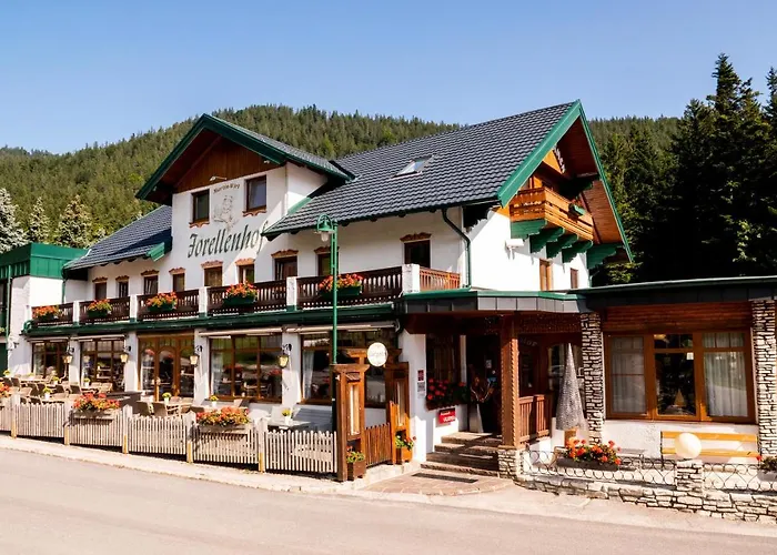 Hotel Hotel-restaurant Forellenhof